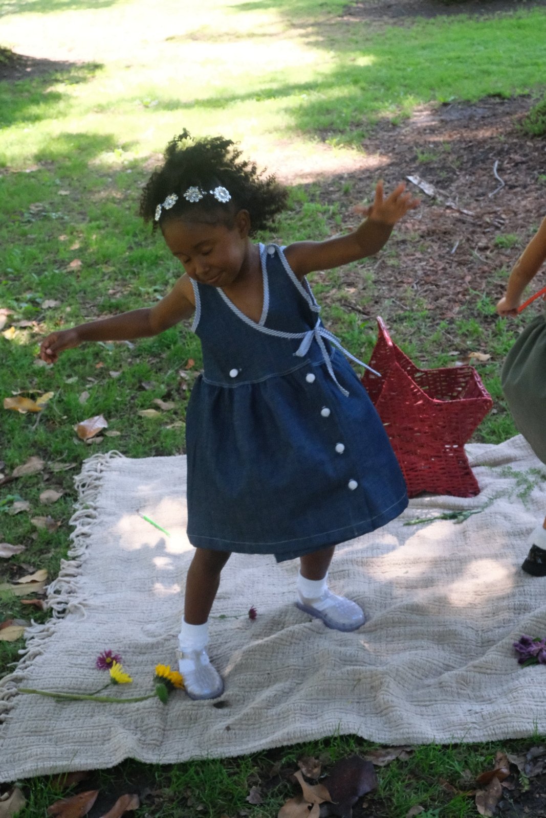 The Celine Dress- Picnic Denim
