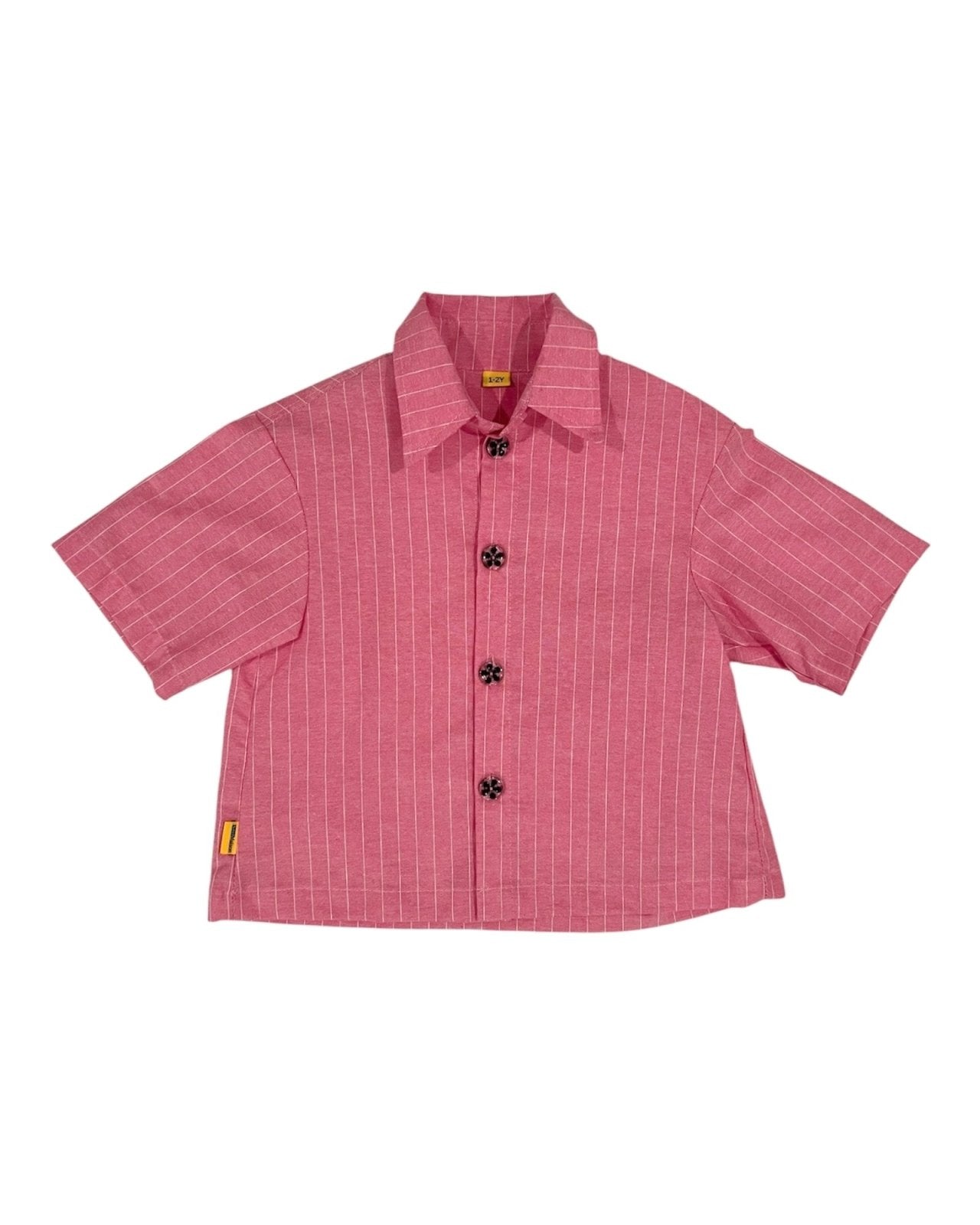 Striped Bubblegum Basquiat shirt